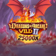 Dragons Of Arcane Wild 2