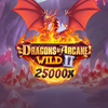 Dragons Of Arcane Wild 2