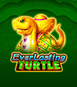Everlasting Turtle
