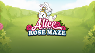 Alice in the Rose Maze Dice