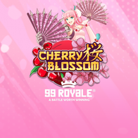 Cherry Blossom