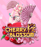 Cherry Blossom
