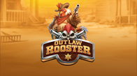 Outlaw Rooster