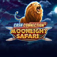 Moonlight Safari Cash Connection