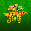 Burning Slots