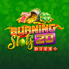 Burning Slots 20 Dice
