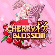 Cherry Blossom