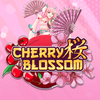 Cherry Blossom