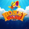 Honey Bass Dice