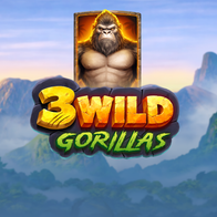 3 Wild Gorillas