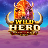 Wild Herd Stampede Stacks