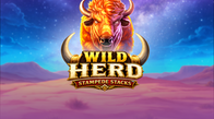 Wild Herd Stampede Stacks