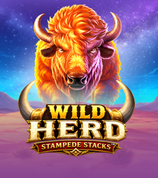 Wild Herd Stampede Stacks