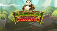 Bamboo Pandits