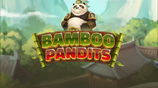 Bamboo Pandits