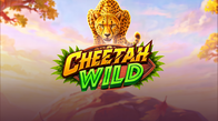 Cheetah Wild