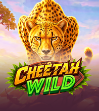 Cheetah Wild