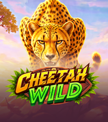 Cheetah Wild