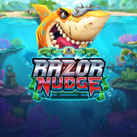 Razor Nudge