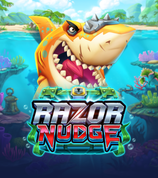 Razor Nudge