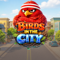 Birds In The City