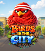 Birds In The City