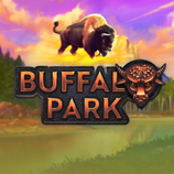 Buffalo Park