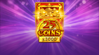 25 Coins  X3000