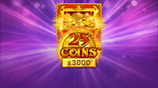 25 Coins  X3000