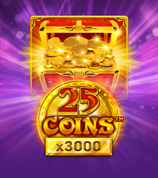 25 Coins  X3000