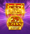 25 Coins  X3000