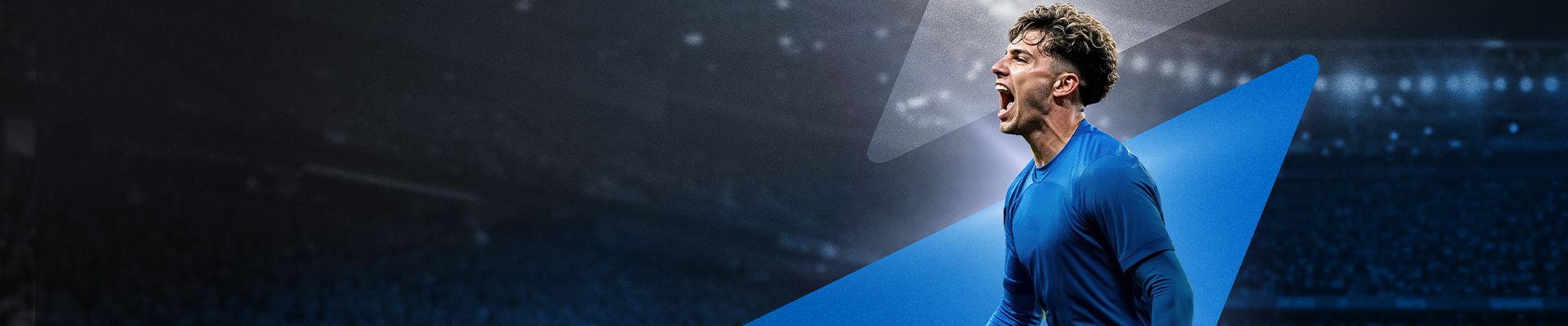 Promotional banner