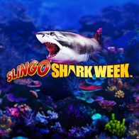 Slingo Shark Week