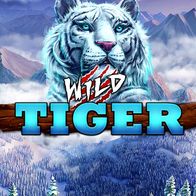 Wild Tiger