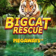 Big Cat RescueMegaways