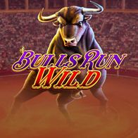 Bulls Run Wild