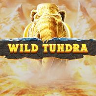 Wild Tundra