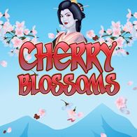 Cherry Blossoms