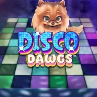 Disco Dawgs