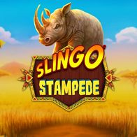 Slingo Stampede