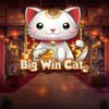 Big Win Cat