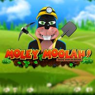 Moley Moolah