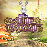 White Rabbit