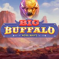 Big Buffalo