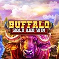 Buffalo Hold and Win