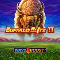 Buffalo Blitz II
