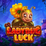 Ladybug Luck