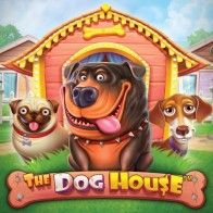 The Dog House