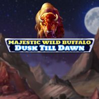 Majestic Wild Buffalo Dusk Till Dawn