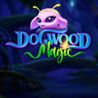 Dogwood Magic